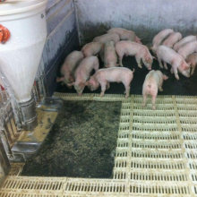 Hot Selling Fiber Reinforced Wean Farrowing Rearing Warm Pig Sow Feed Save Rubber Mat